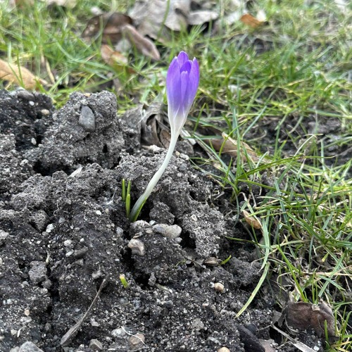 Die ersten Sonnenstrahlen locken&nbsp;