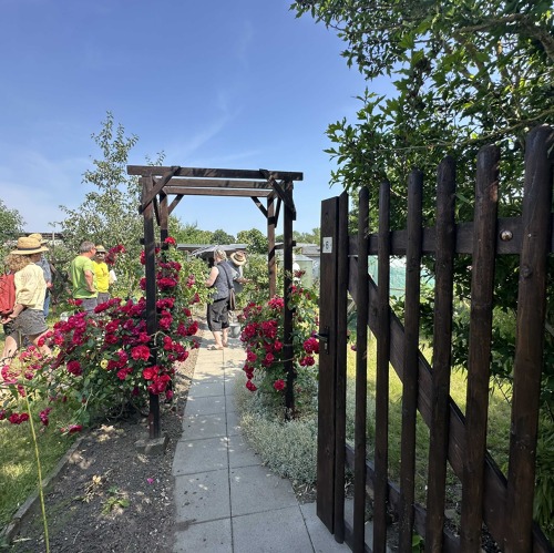 Weitere Termine für Gartenbegehung